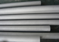 Seamless TP304 304L Stainless Steel Pipes Annealed &amp; Pickled For Transportation supplier